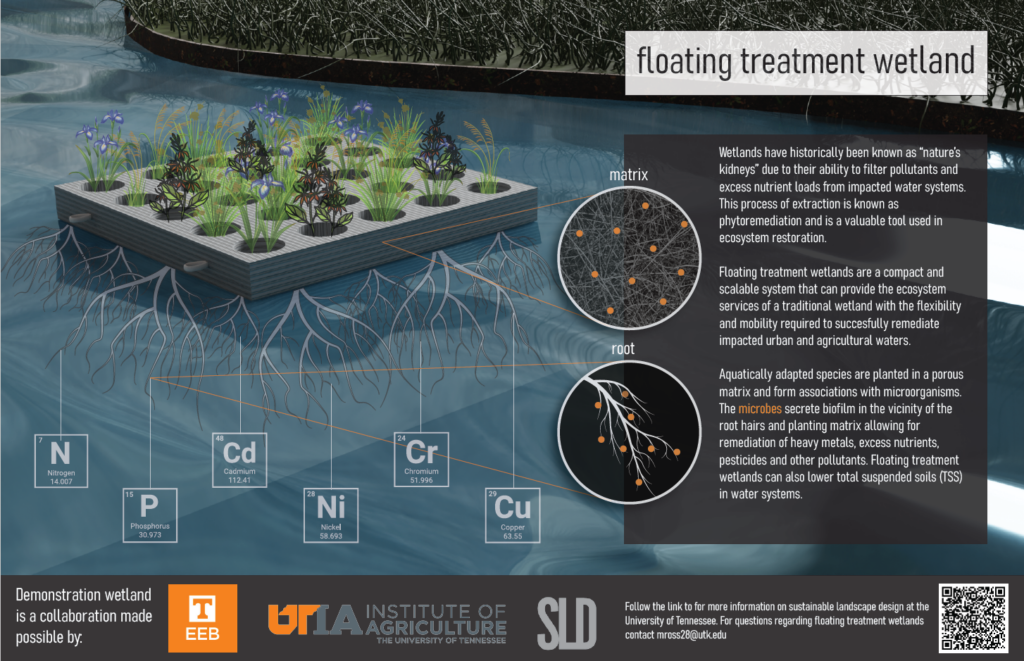 Sign explaining a floating treatment wetland