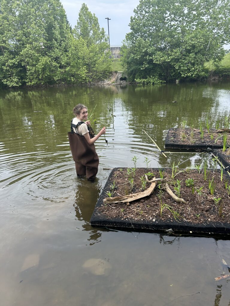 Person in waders in a creek