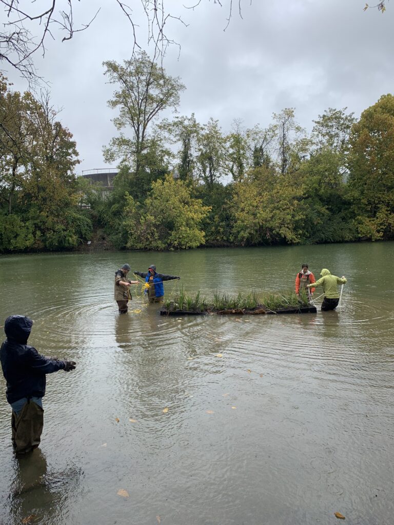 Third Creek Initiative students working in creek