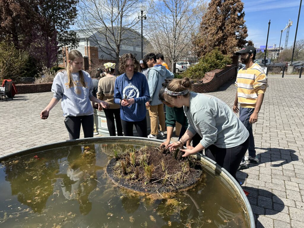 Students working on a floating wetland