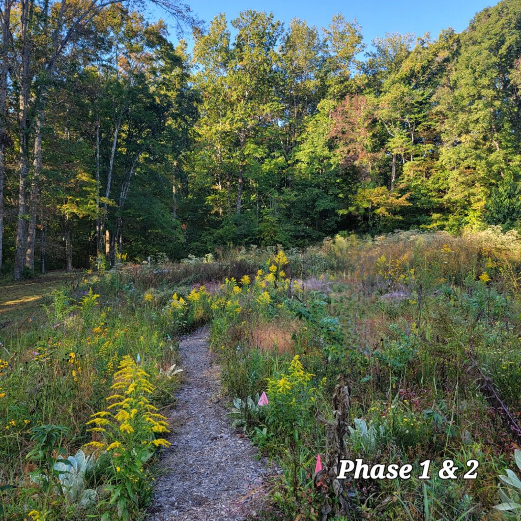 Phase 1 and 2 of the UT Arboretum Project