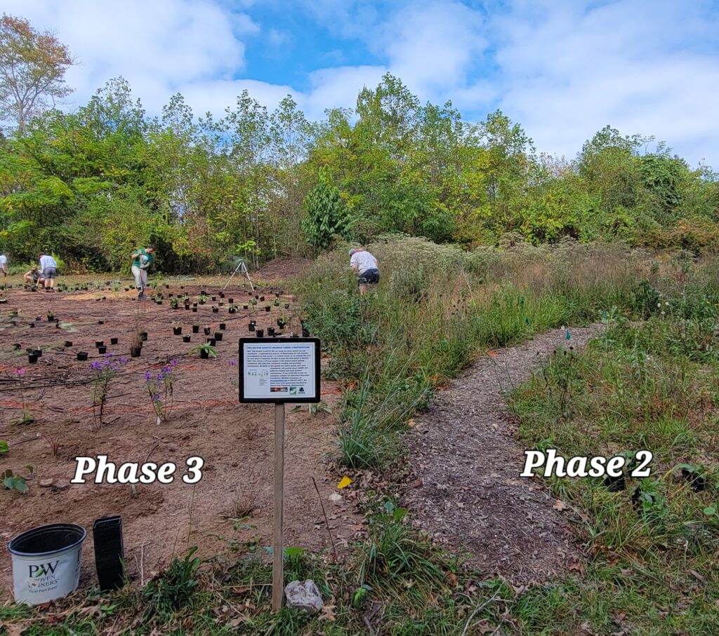 Phase 2 and 3 of the UT Arboretum Project