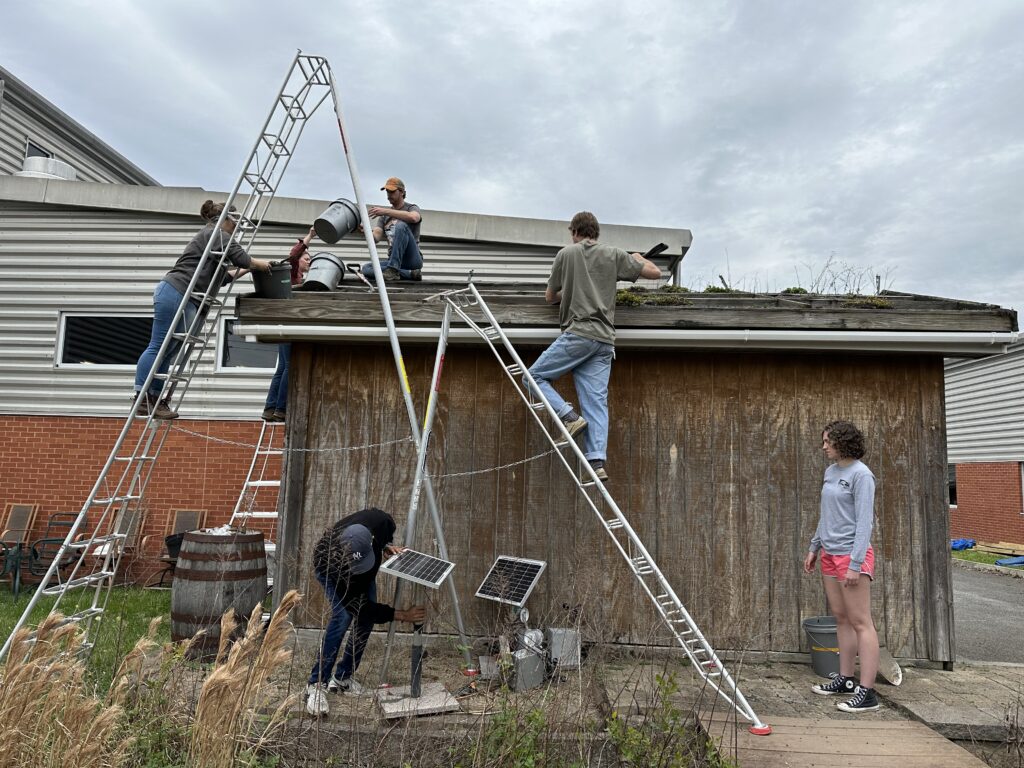 Students working on green roof on a small building