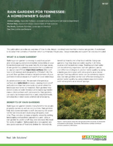 Cover photo of W1137: Rain Gardens for Tennessee: A Homeowner's Guide